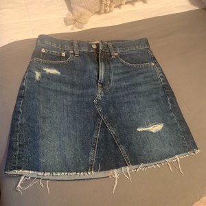 Everlane Size 26 Denim Mini Skirt